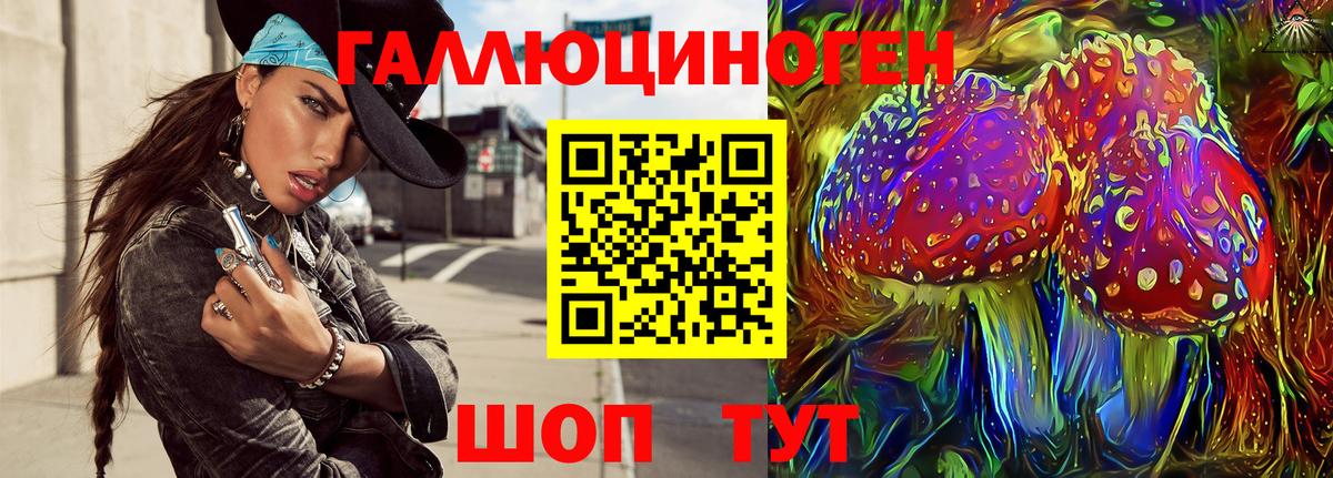 Псилоцибиновые грибы мицелий Алексин