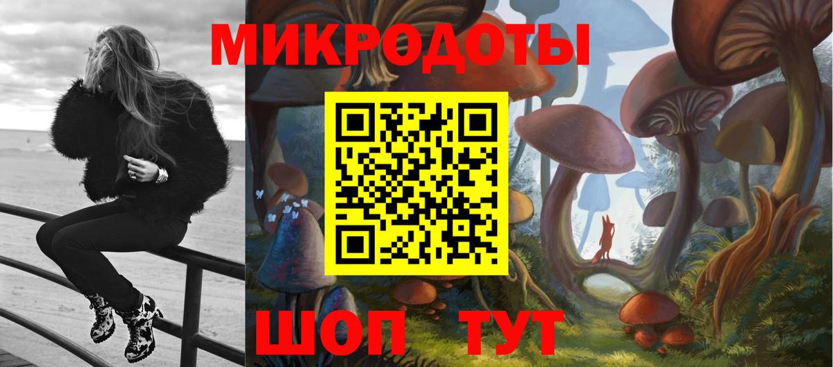 Псилоцибиновые грибы прущие грибы  Псилоцибиновые грибы мухоморы  Алексин  Вход с VPN 